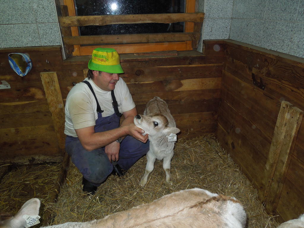 Appartamento Moeslehof